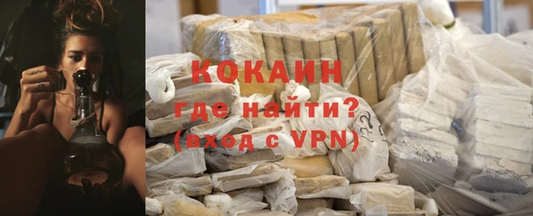 индика Алексин