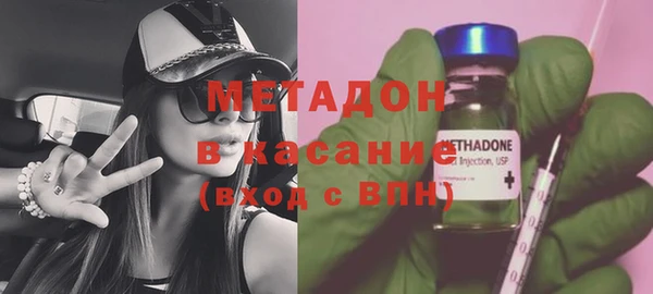 индика Алексин