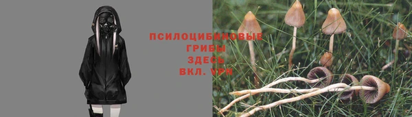 молекула духа Алексеевка